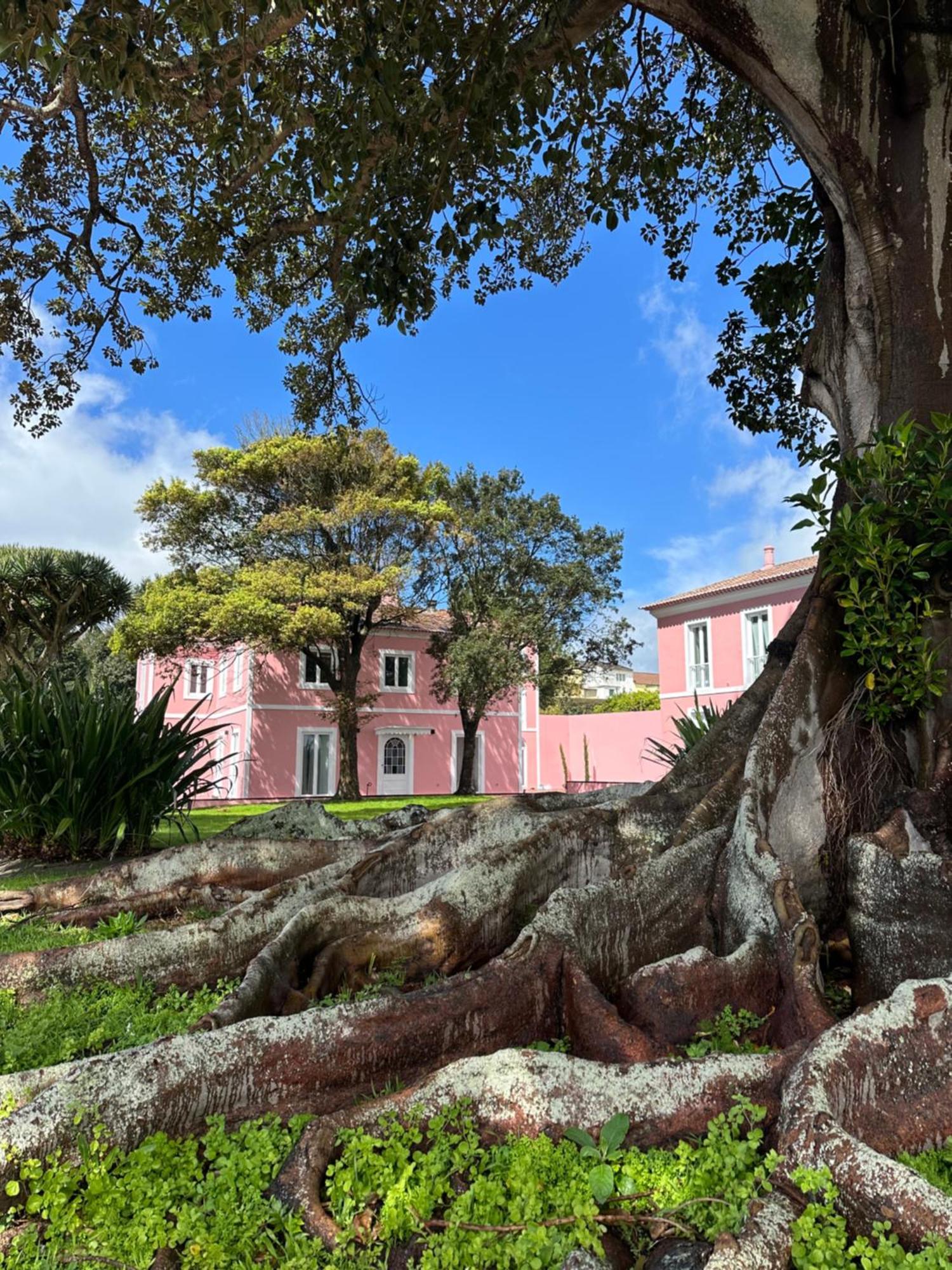Solar Dos Cantos Botanic House & Garden 蓬塔德尔加达 外观 照片