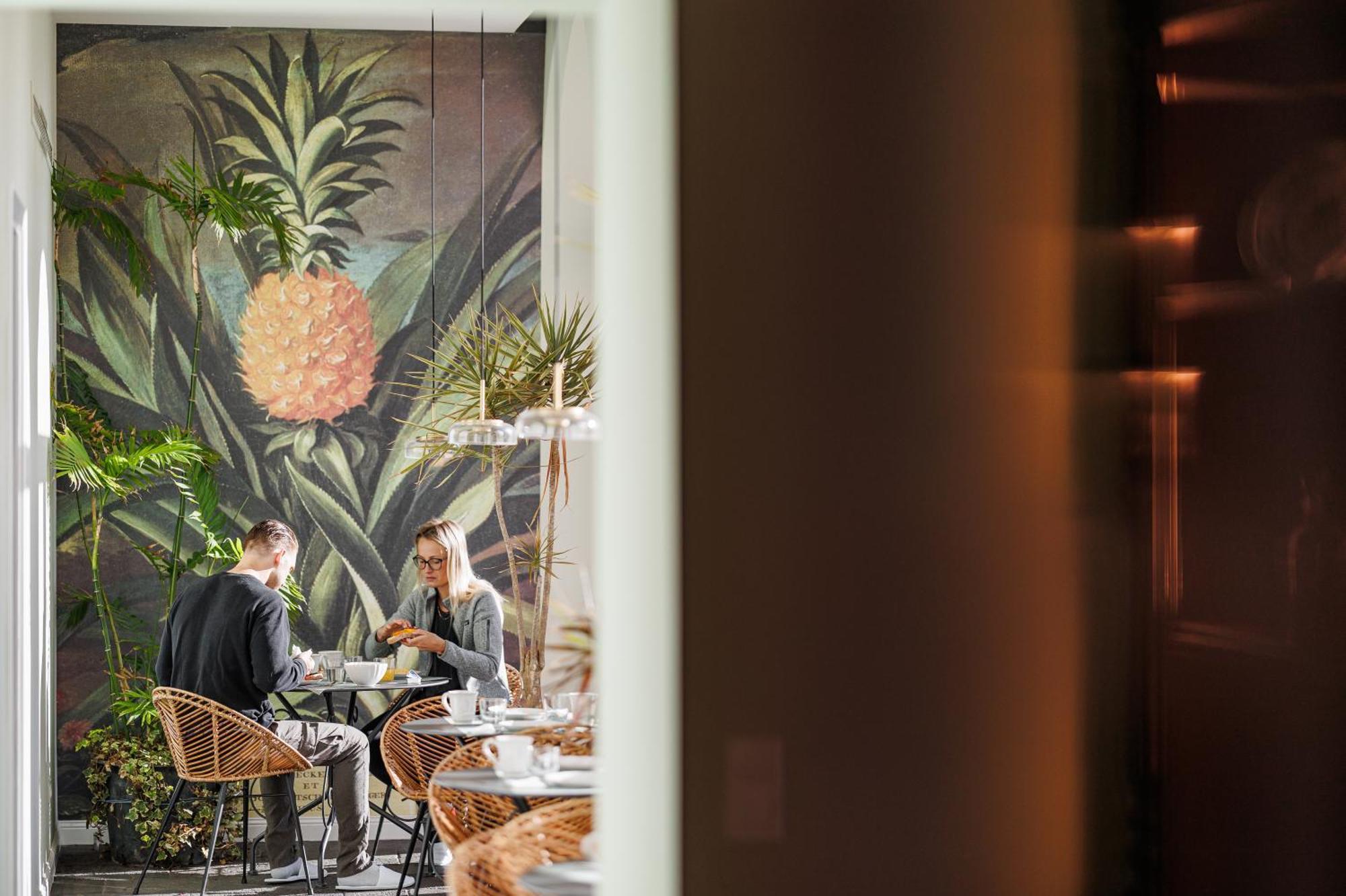 Solar Dos Cantos Botanic House & Garden 蓬塔德尔加达 外观 照片