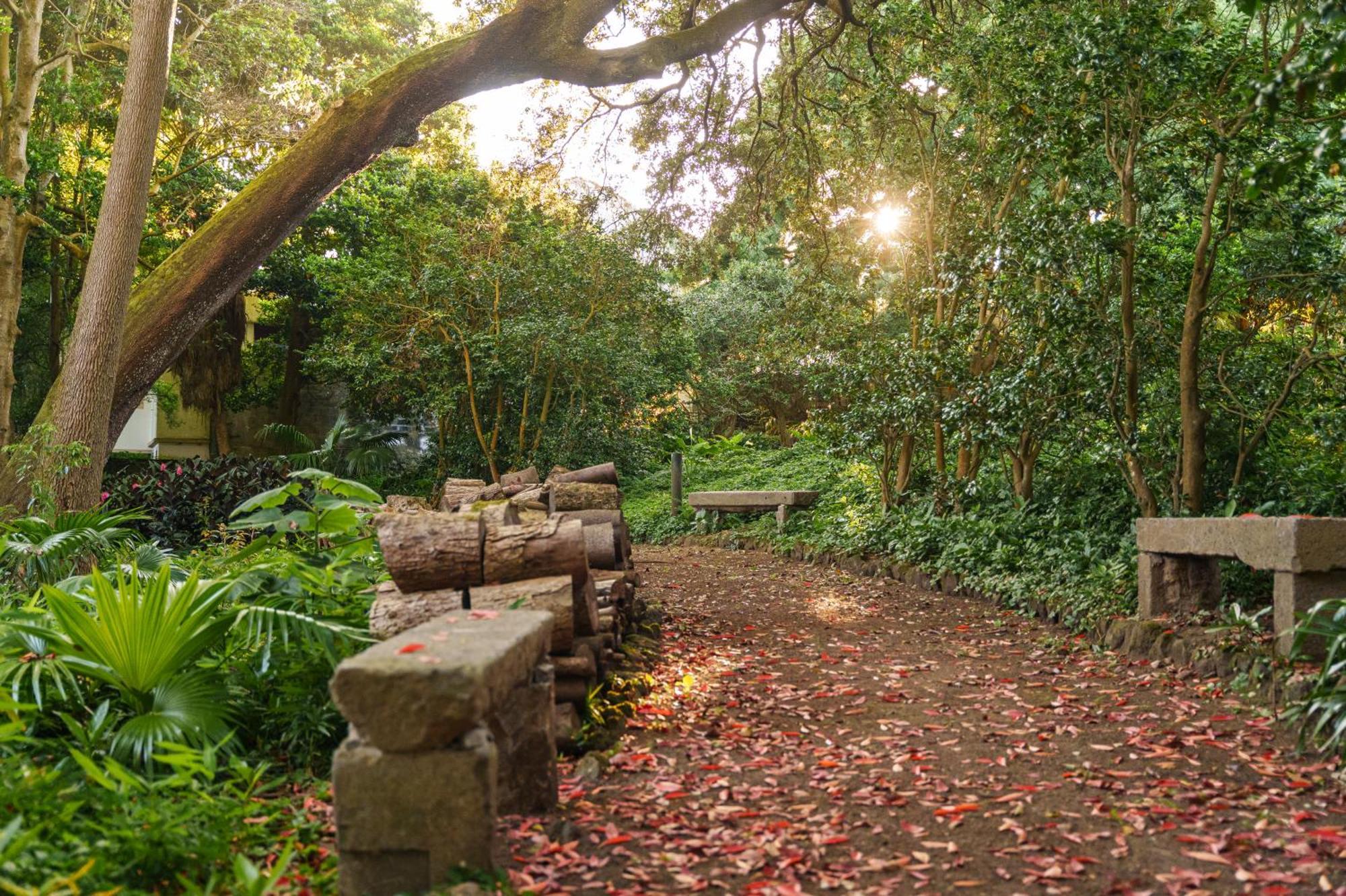 Solar Dos Cantos Botanic House & Garden 蓬塔德尔加达 外观 照片